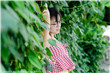 深蹲怎么做