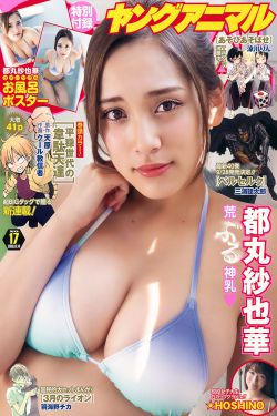 冒险王比特