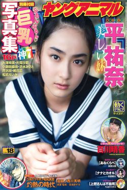 变形金刚3