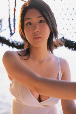 蒲公英的花语