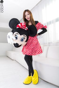 完美伴侣 电视剧